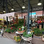 Stella Di Mare * Rapallo