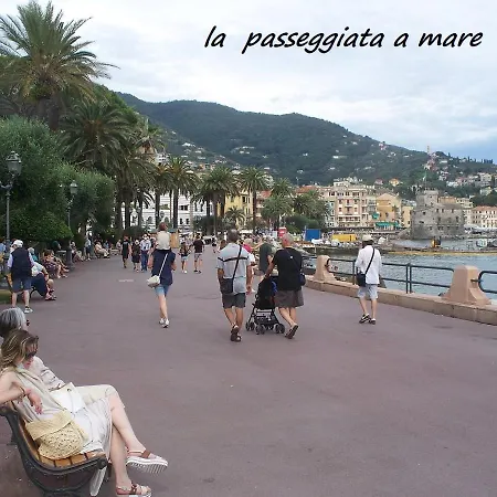 Stella Di Mare *